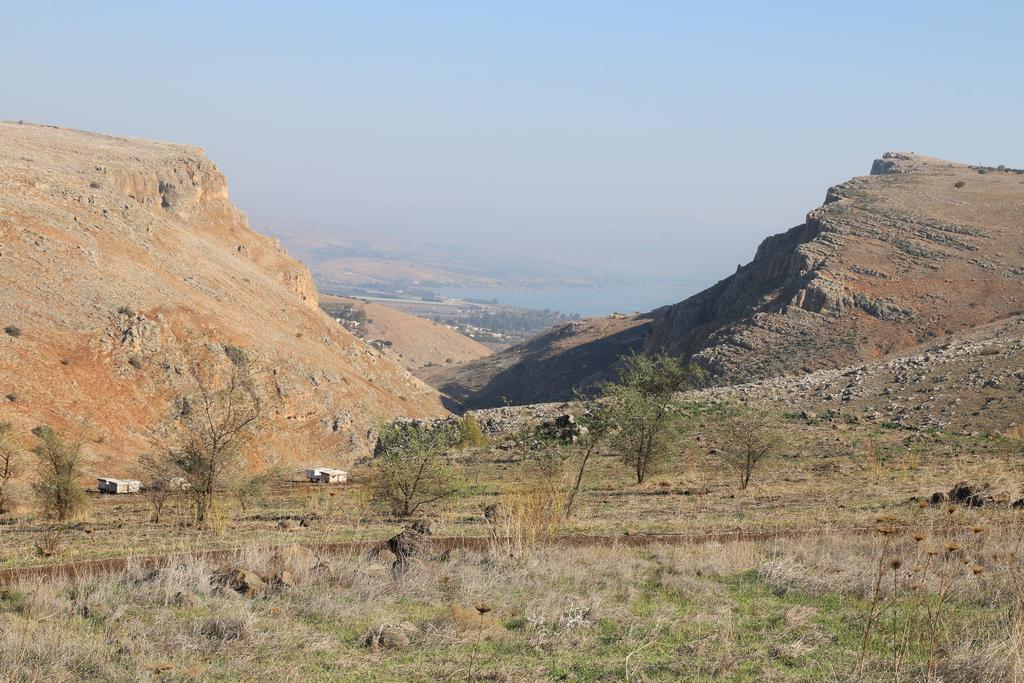 Switzerland In The Arbel Guest House Rom bilde